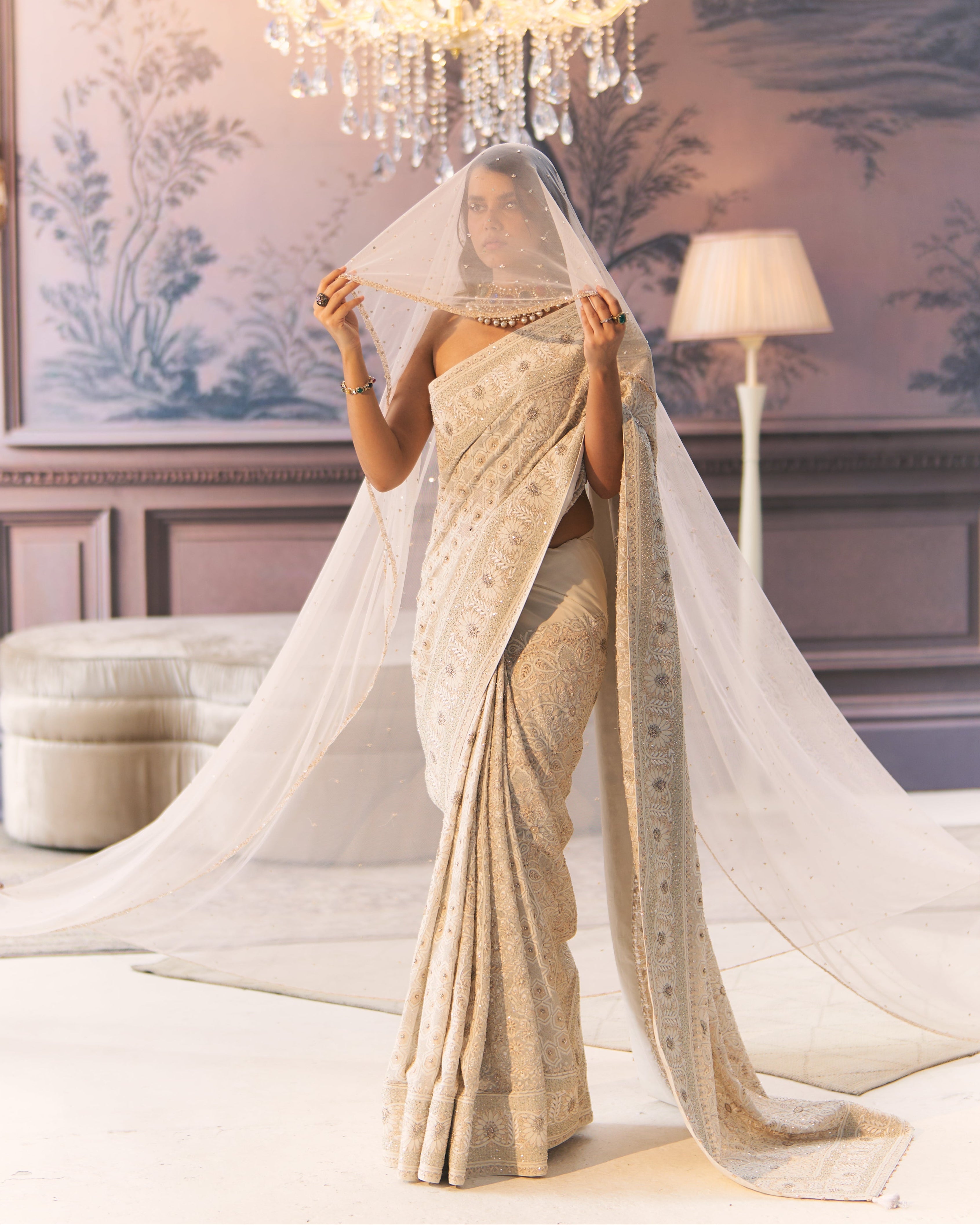 Premium Resham Thread Ek-taar Chikankari Saree
