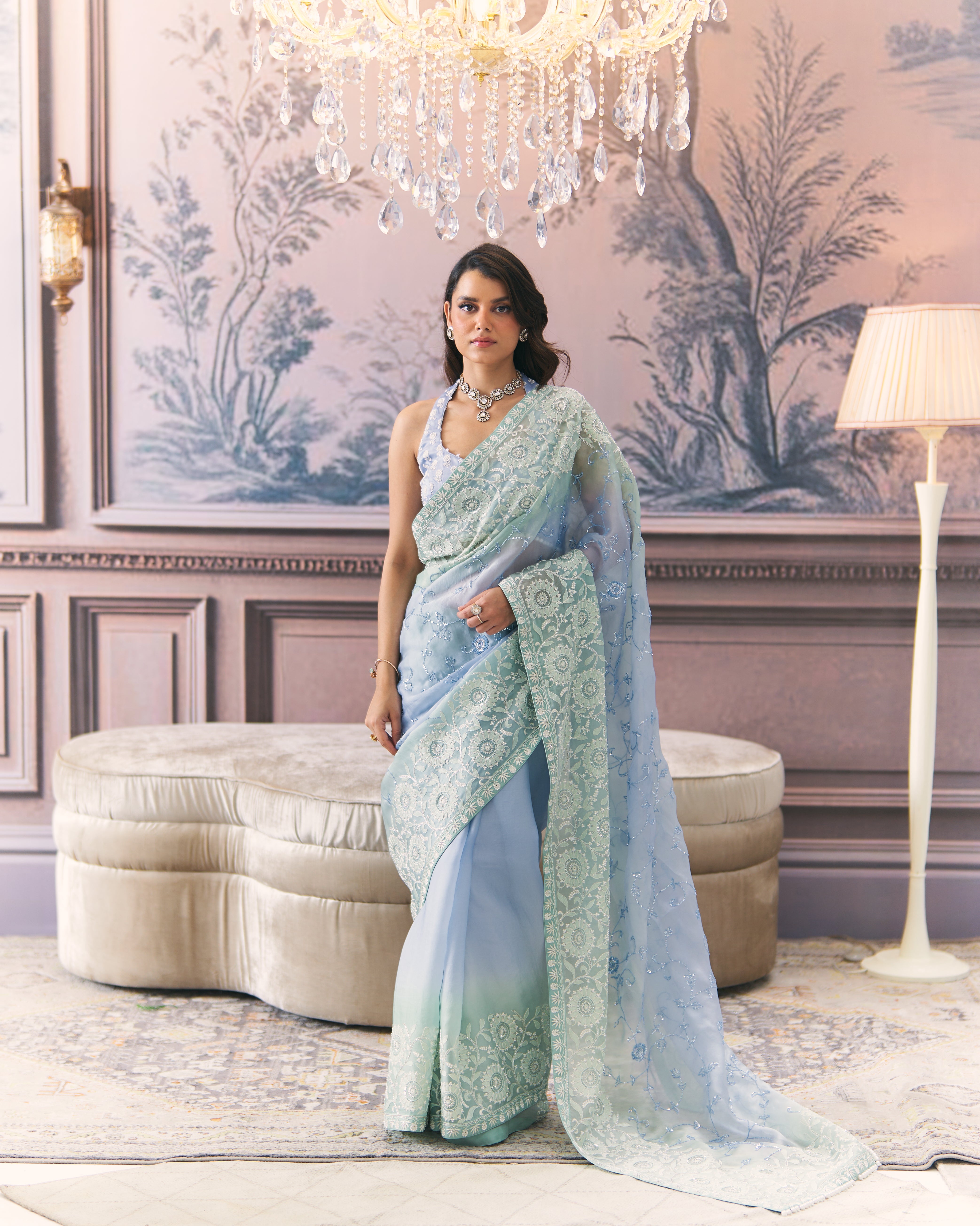 Aqua Organza Chikankari Saree