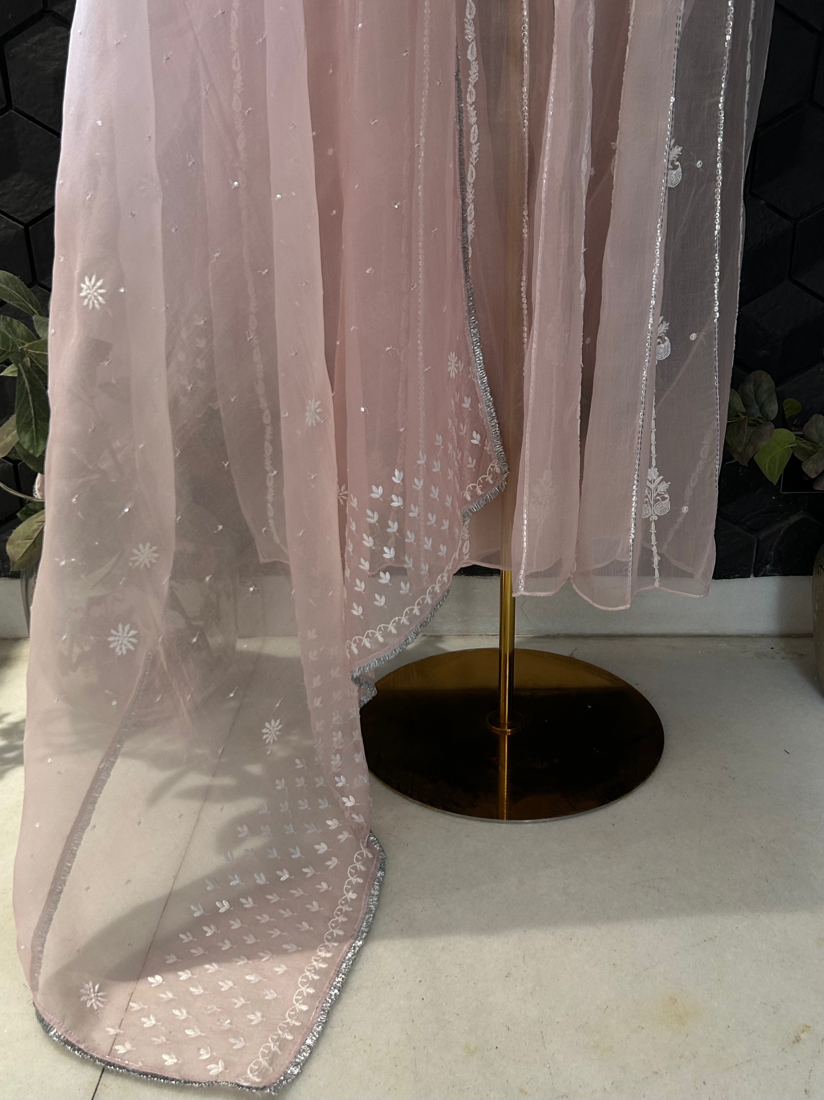 Pink Organza Chikankari Anarkali Set