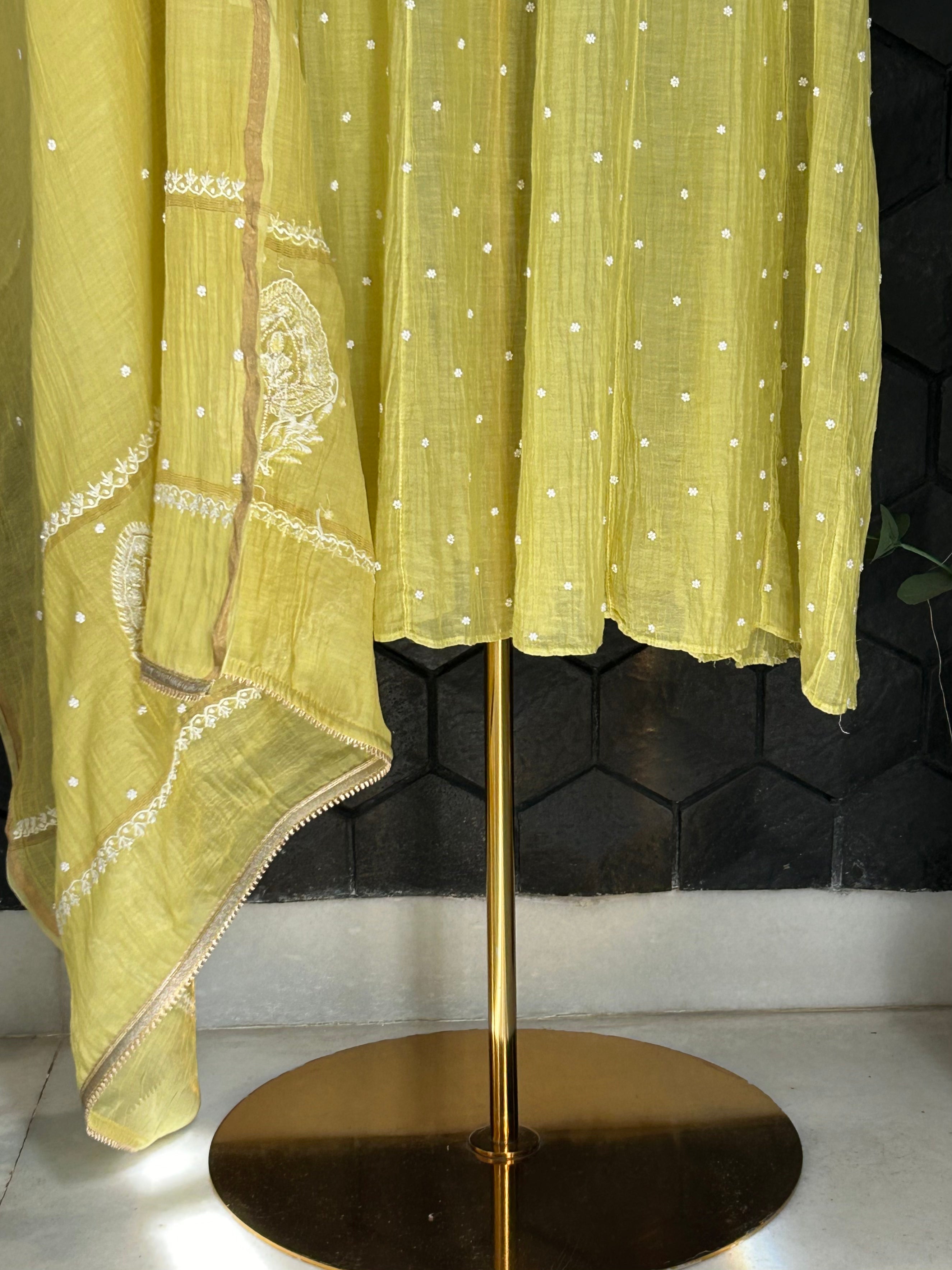 Lime Green Mul Chanderi Chikankari Anarkali set