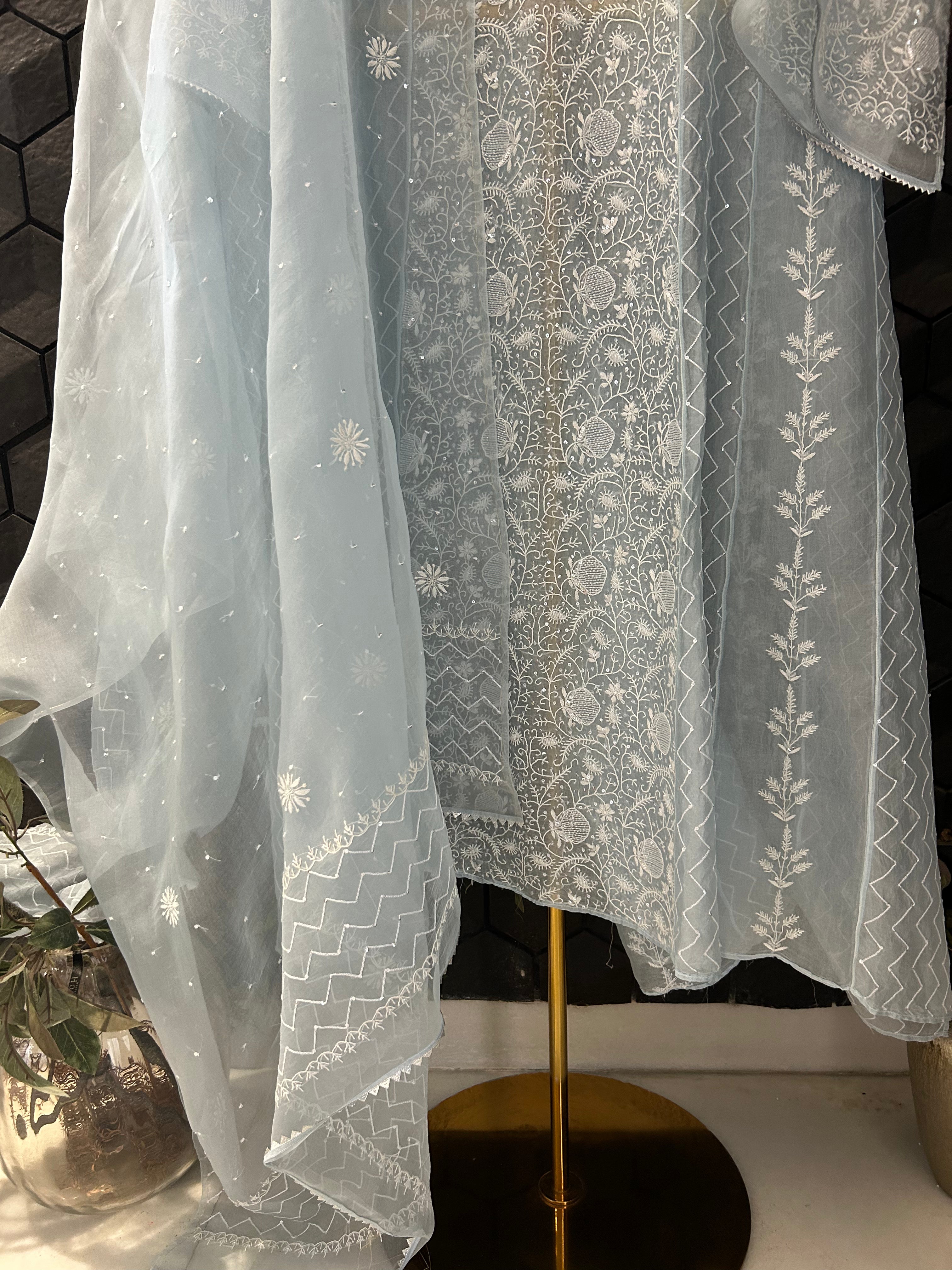 Blue Organza Chikankari Anarkali Set