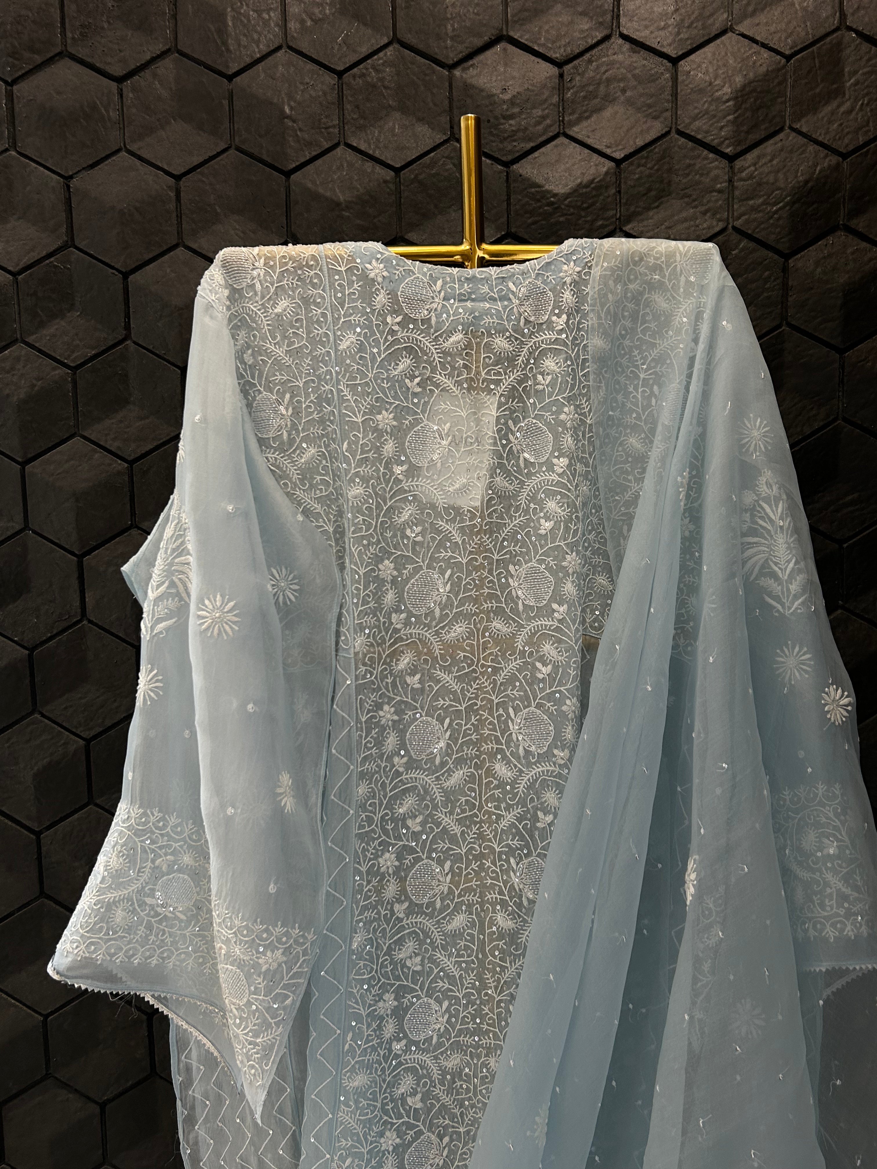 Blue Organza Chikankari Anarkali Set