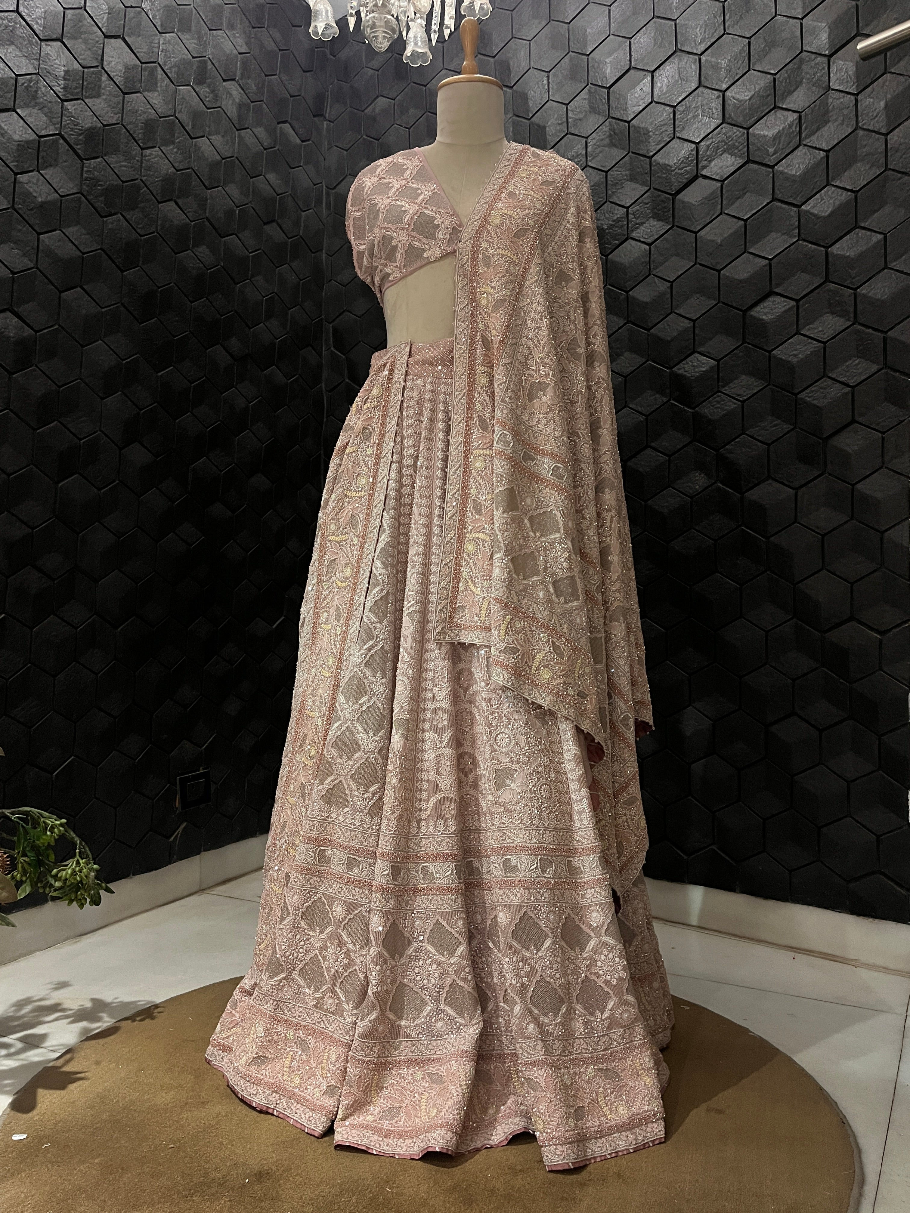 Onion Pink Georgette Kasab Jaali Pearl Work chikankari lehenga set