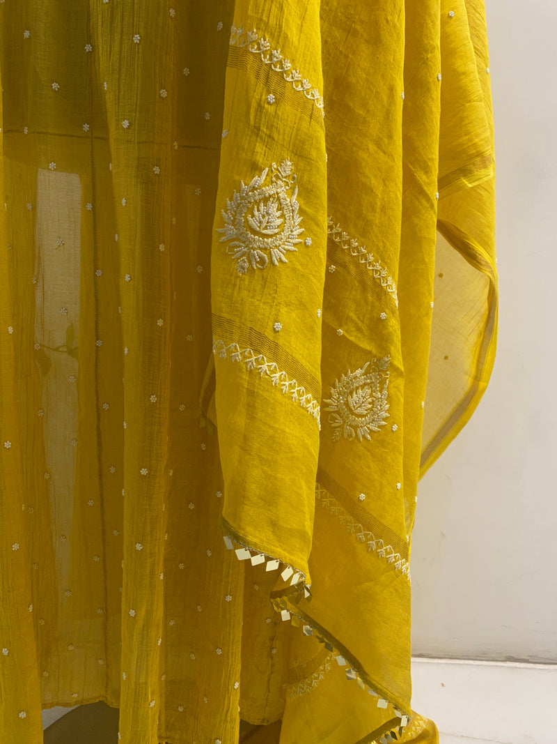 Yellow Tissue Chikankari Anarkali Set