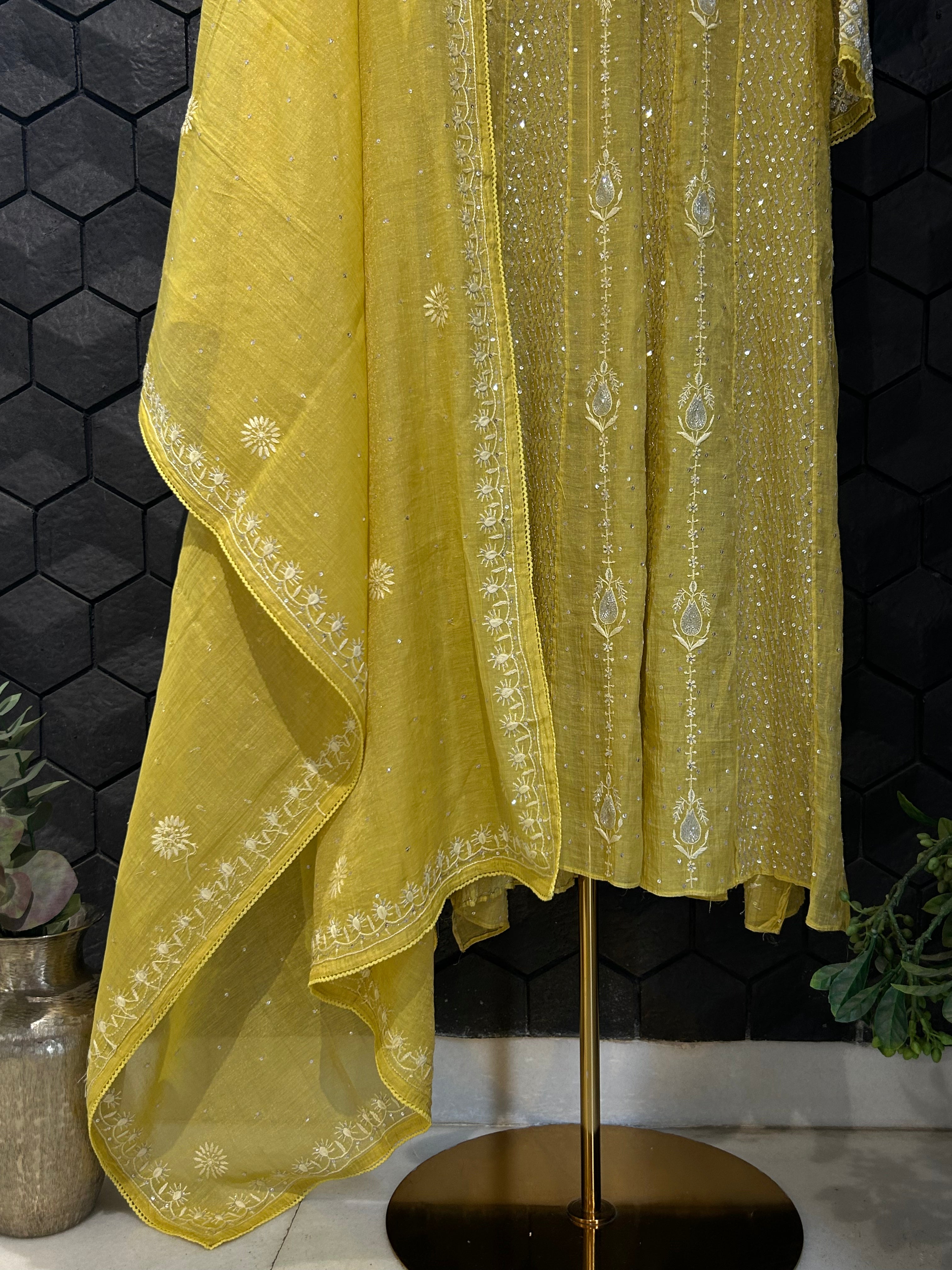 Lime Green Silver Tissue Chikankari Anarkali Set