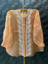 Brown organza chikankari shirt
