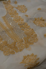 Pure Organza Kurta with Copper Embroidery