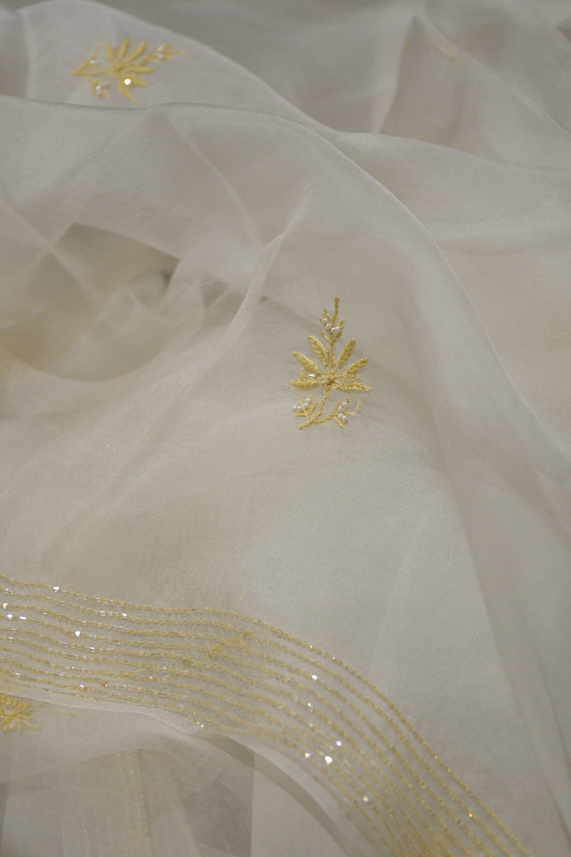 Pure Organza Kurta with Beige Embroidery