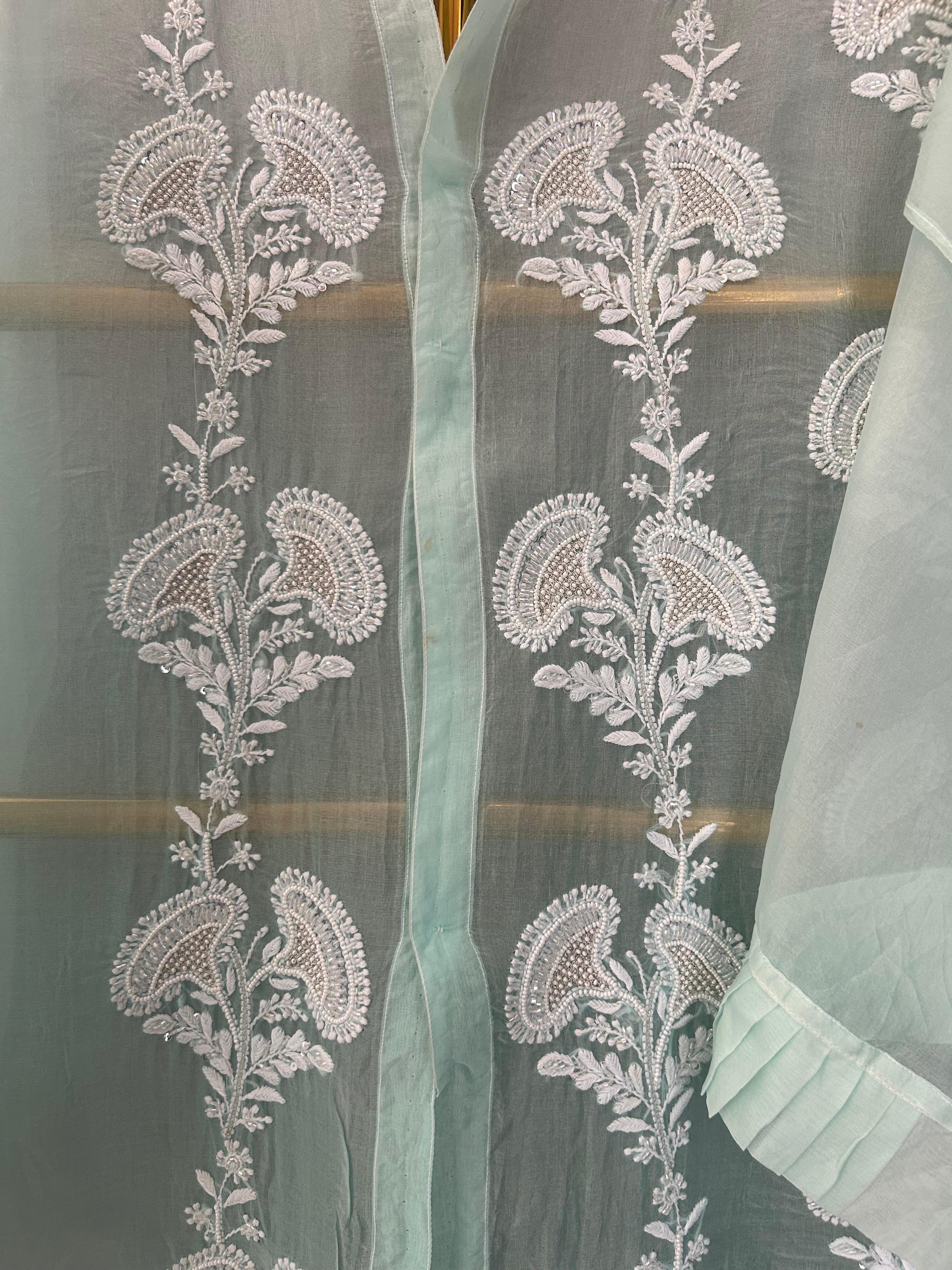 Blue organza chikankari shirt