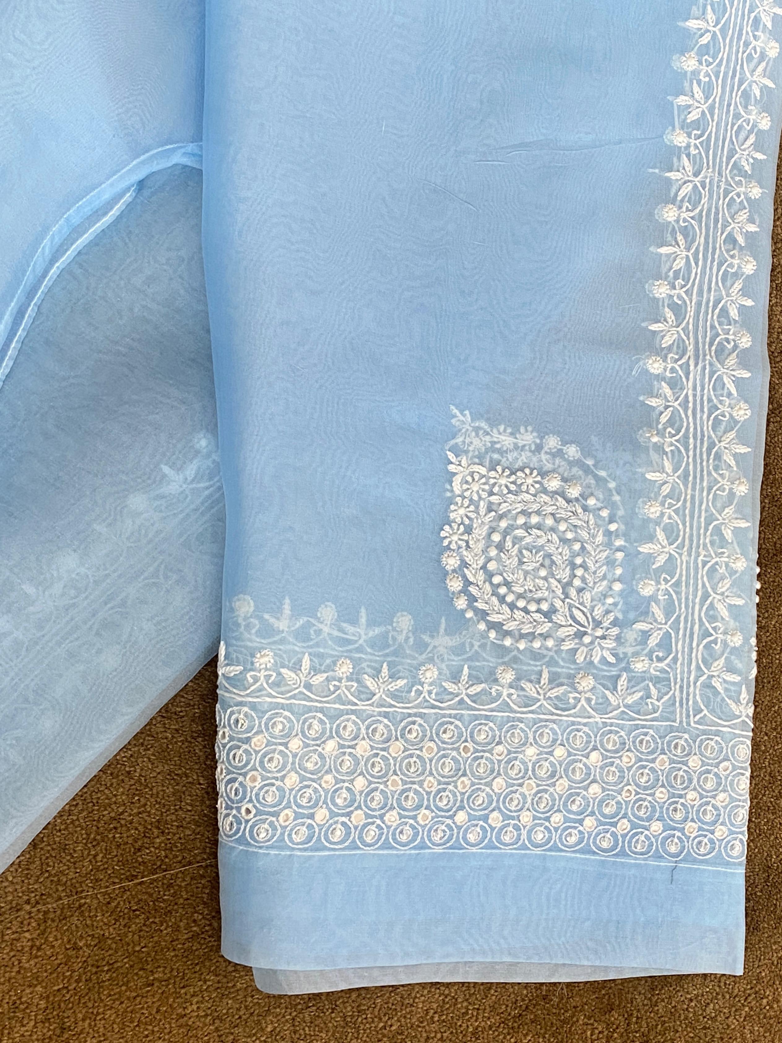 Sky Blue Organza chikankari co-ord set
