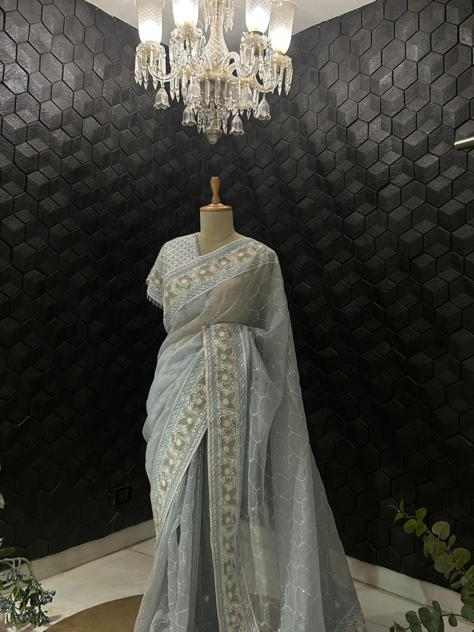 Blue Organza Chikankari saree