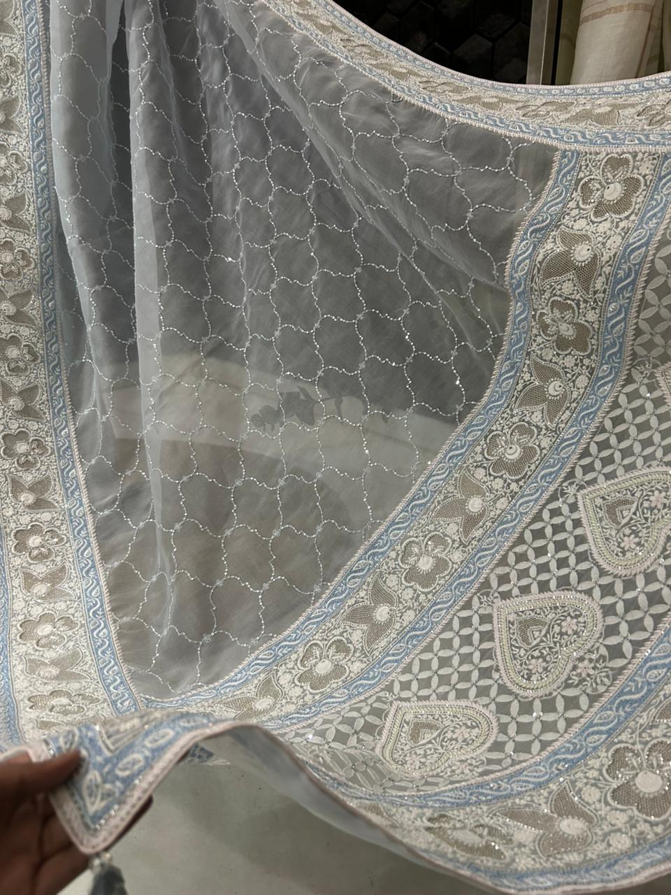Blue Organza Chikankari saree
