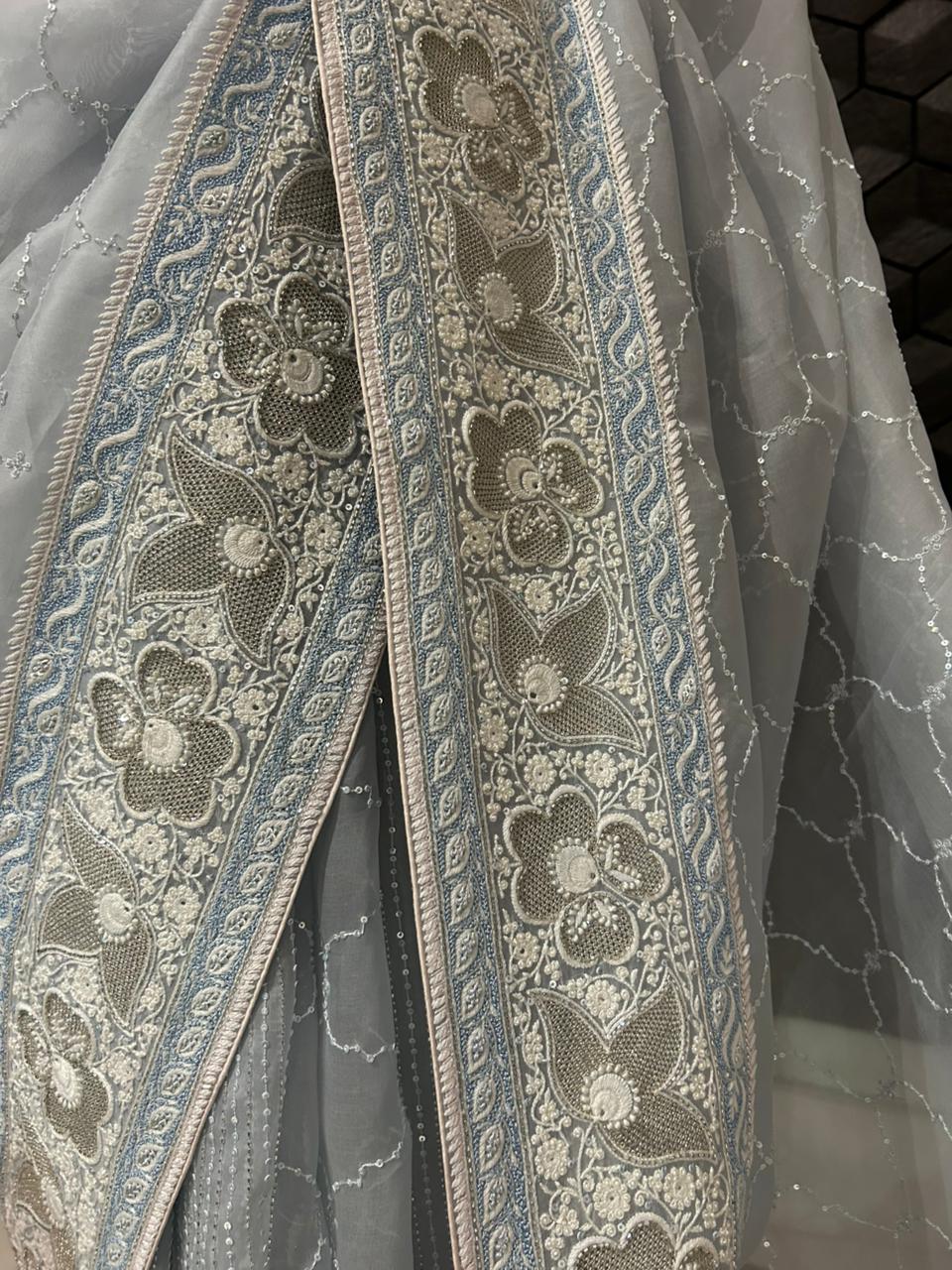 Blue Organza Chikankari saree