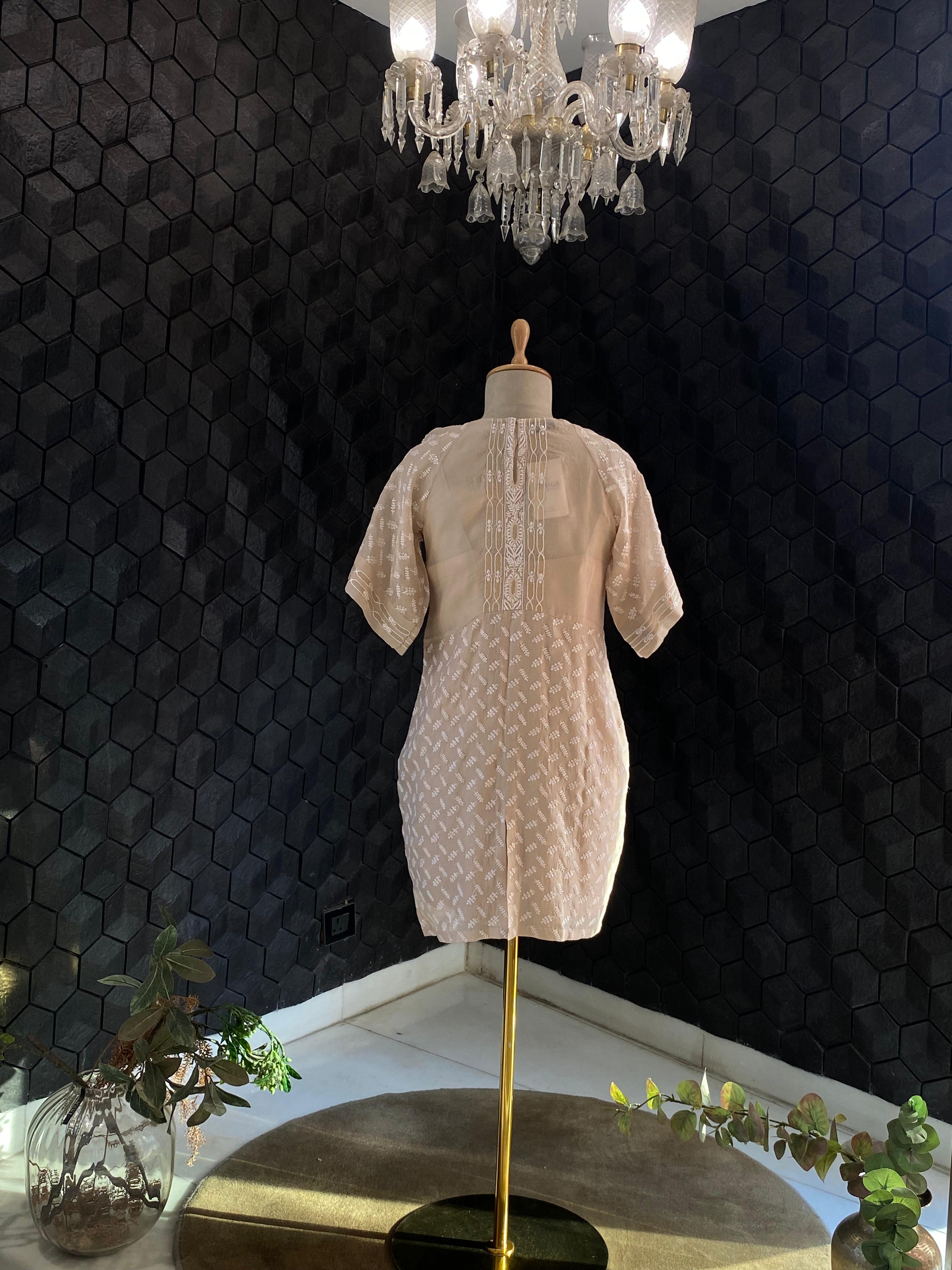 Beige organza chikankari dress