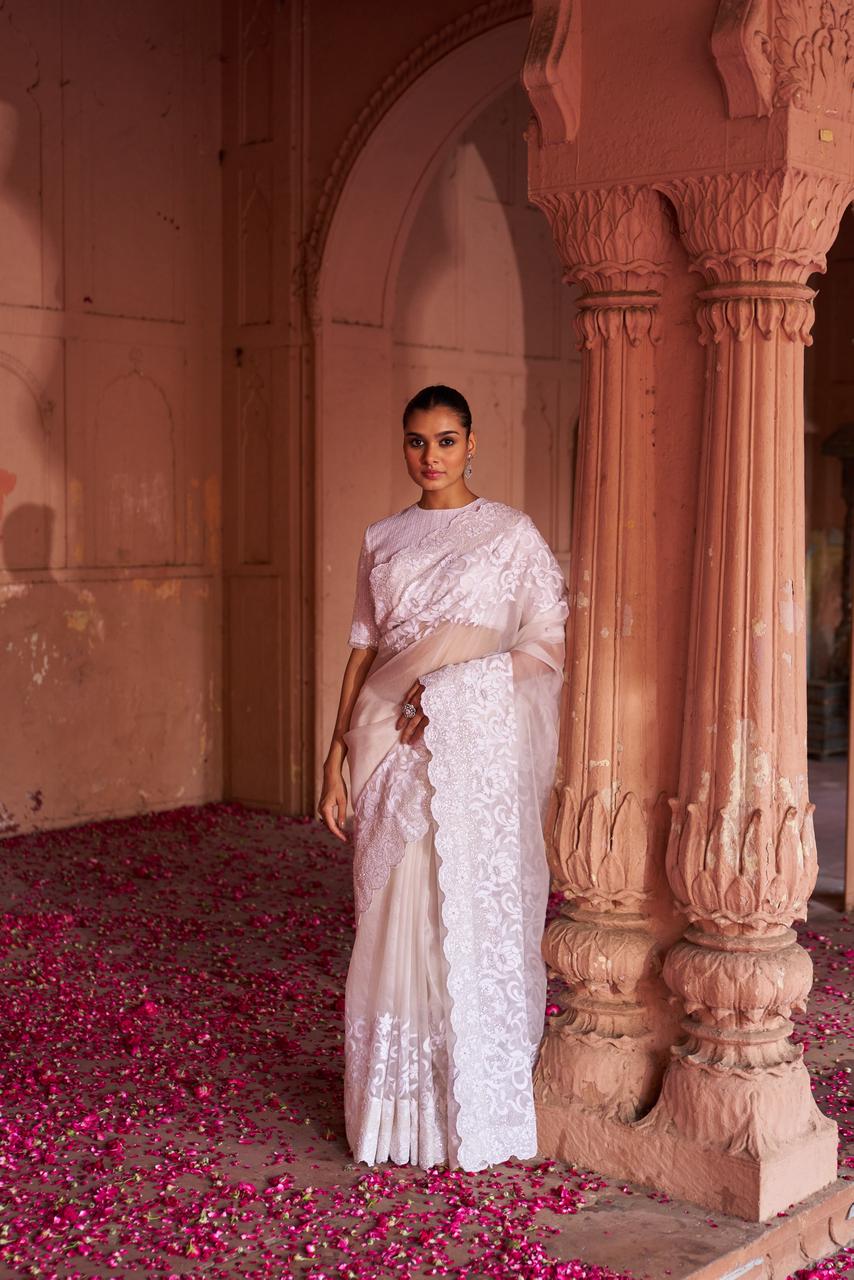 White organza chikankari saree