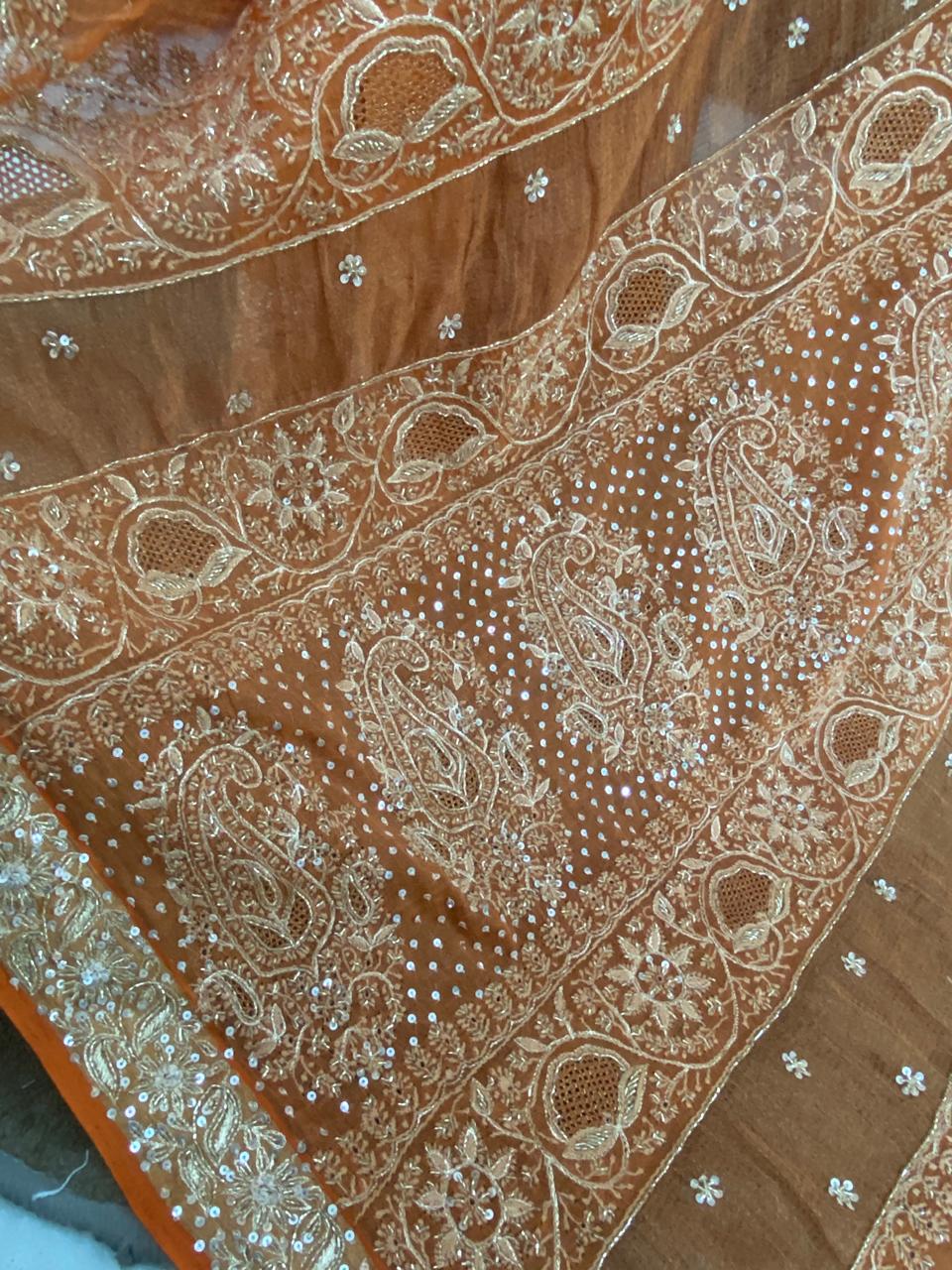 Rust Orange Chikankari Saree in Golden Tissue
