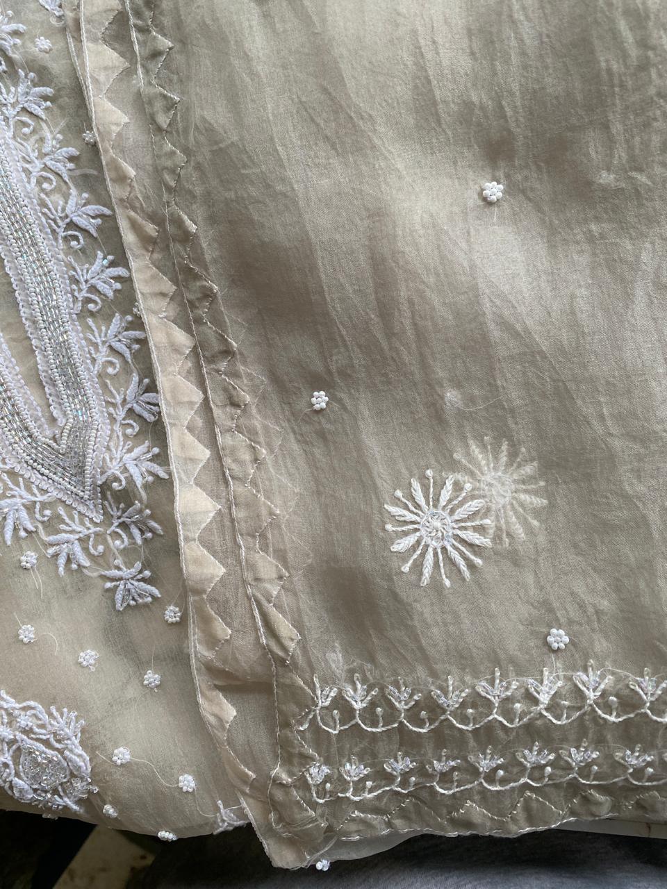 Beige Chikankari Kurta set in pure organza