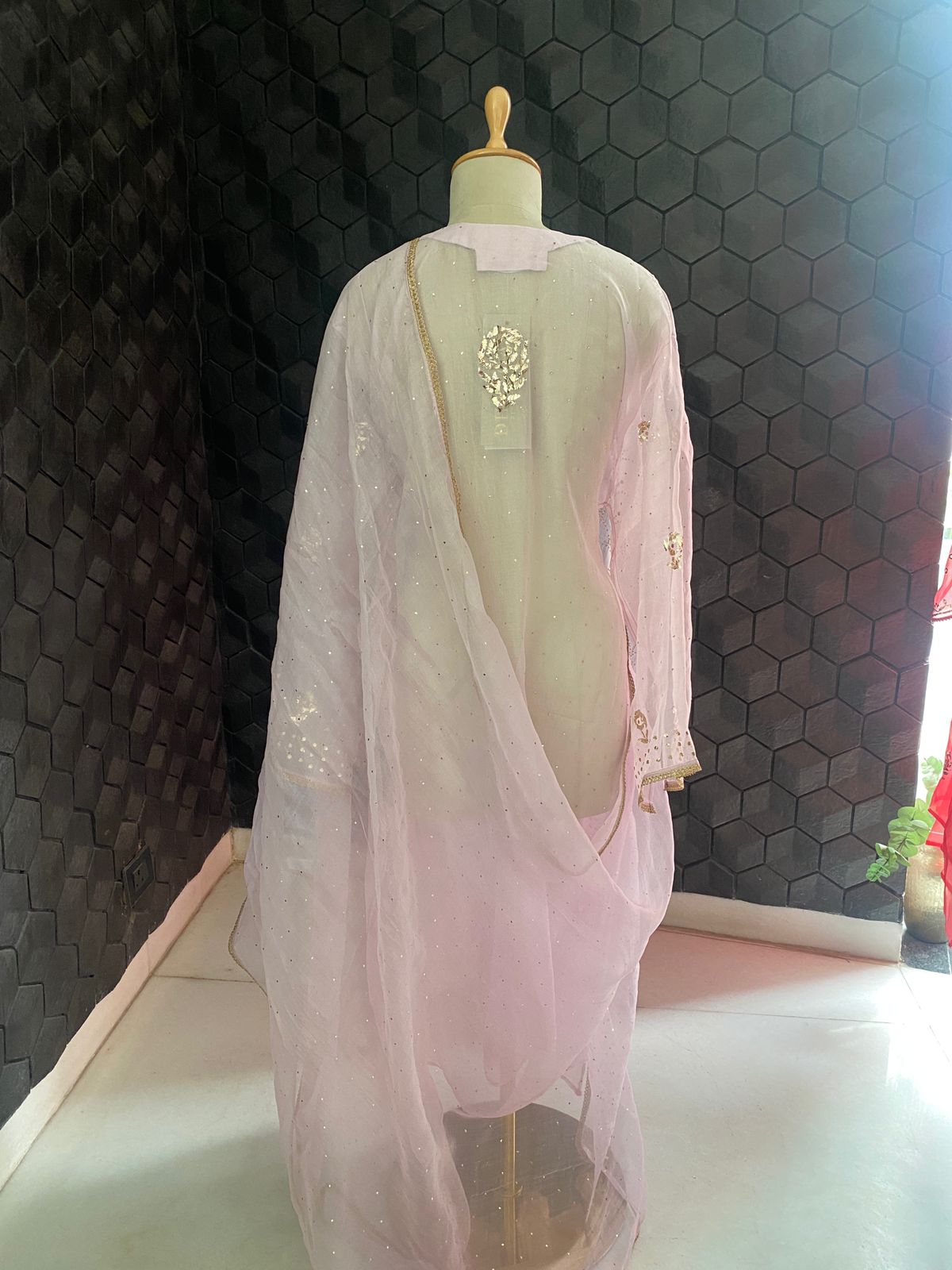 Blush Pink Organza Mukaish Kurta Set