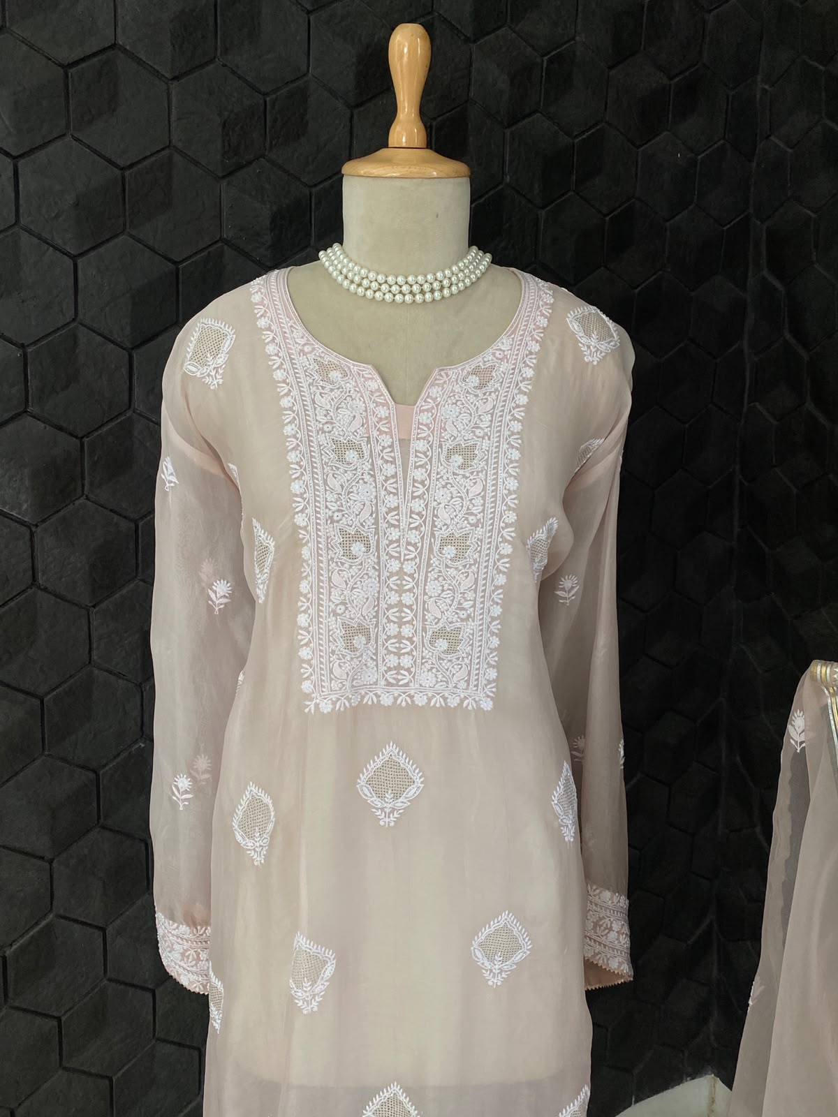 Ash Blue Organza Chikankari suit