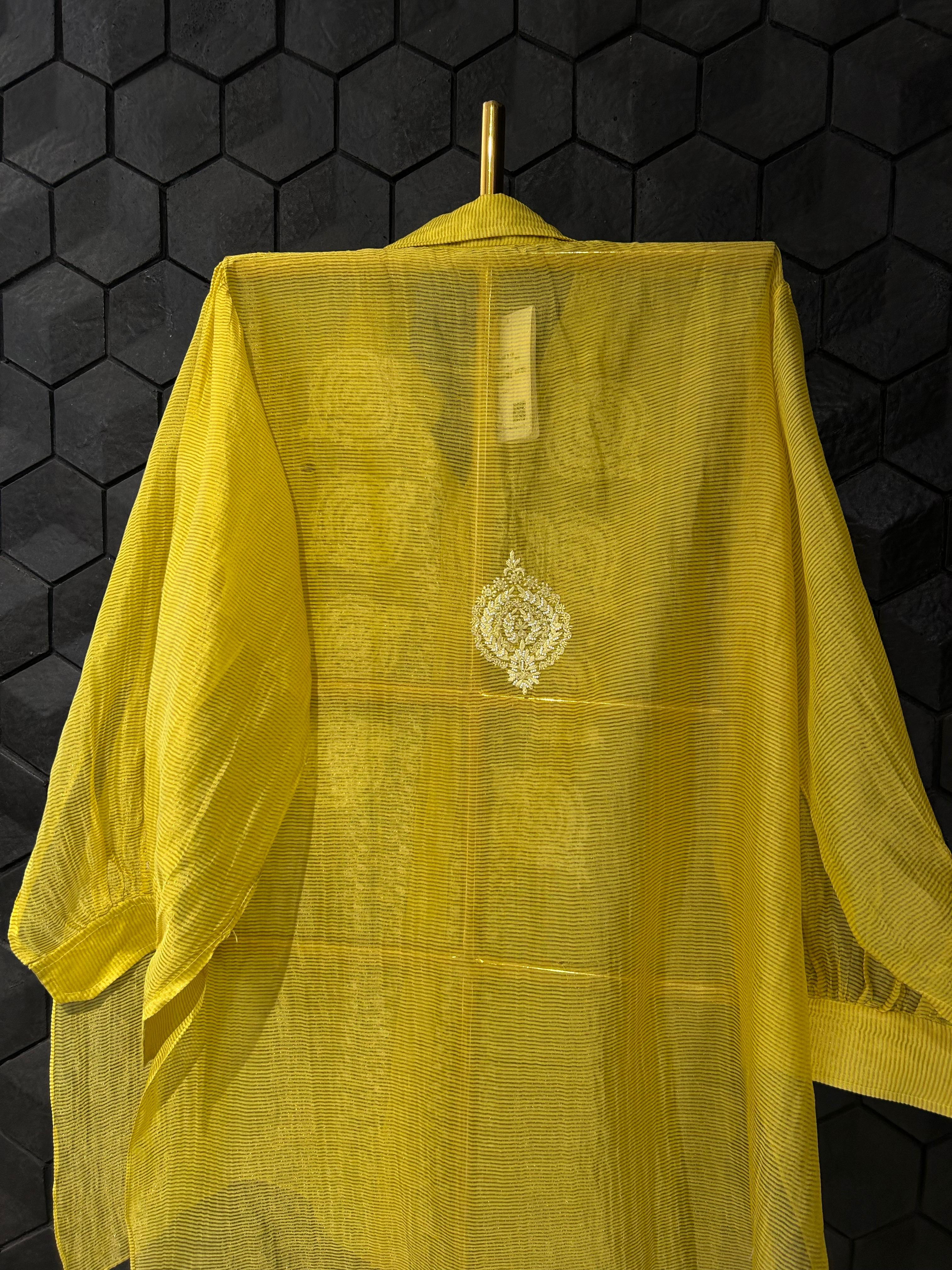 Green Striped Tissue Chanderi Chikankari Shirt