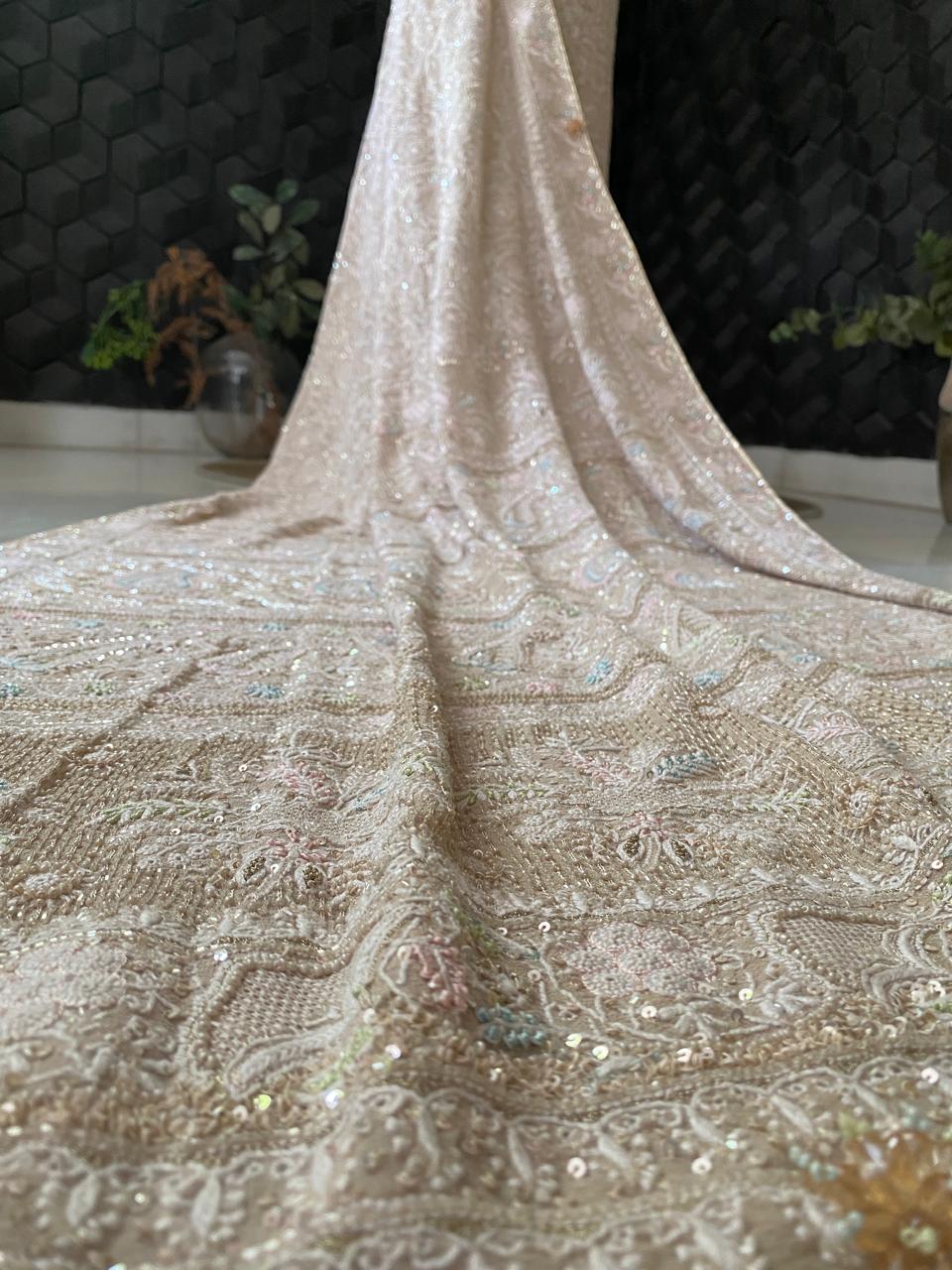 Beige Georgette with Multi Coloured Thread Chikankari Saree