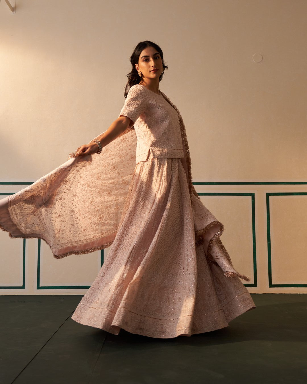 Pink chikankari and mukaish lehenga set