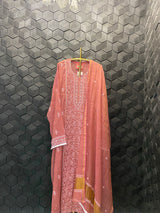 Pink tissue chikankari suit set with dupatta